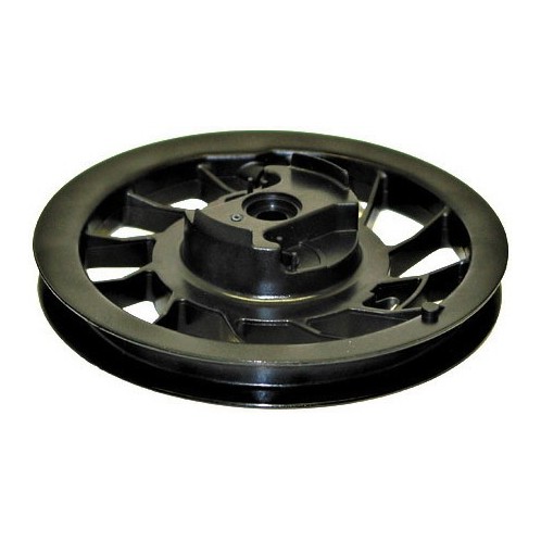 Kółko rozrusznika Briggs & Stratton