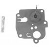 Membrana Briggs & Stratton
