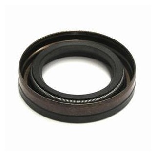 Uszczelniacz wału dolny Briggs & Stratton