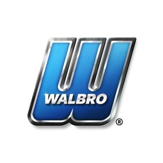 Zestaw naprawczy WALBRO WAT