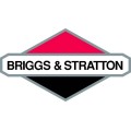 Briggs & Stratton