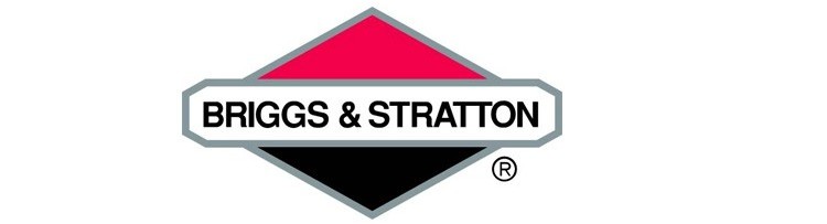 Briggs & Stratton